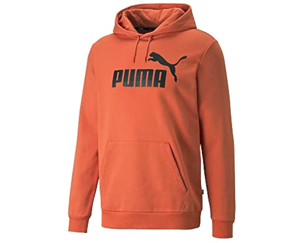 Felpa con cappuccio Puma Essential da uomo 594042971