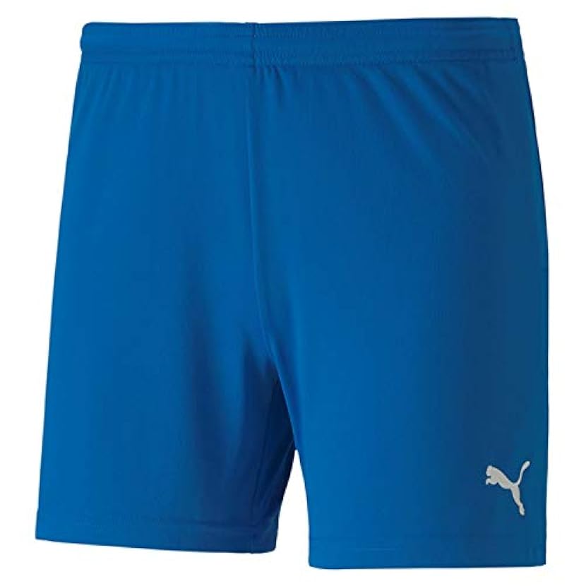 Puma Women´s Teamgoal 23 Knit Shorts W Knitted Shorts 766594009