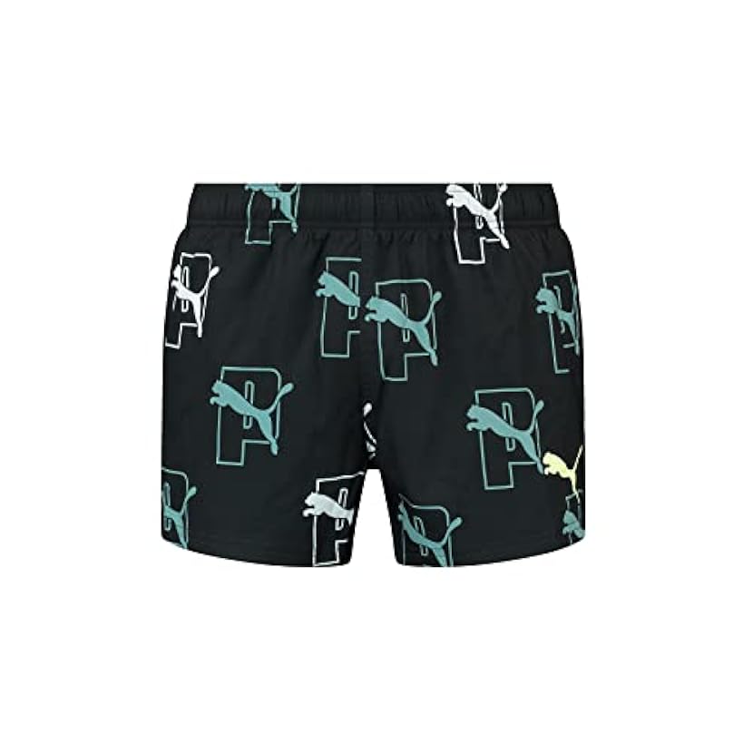 Puma Men´s Shorts 751526241
