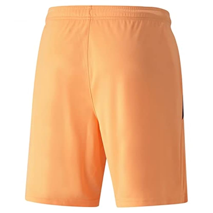 PUMA Teamliga Shorts, Pantaloncini Corti Men´s 701636358