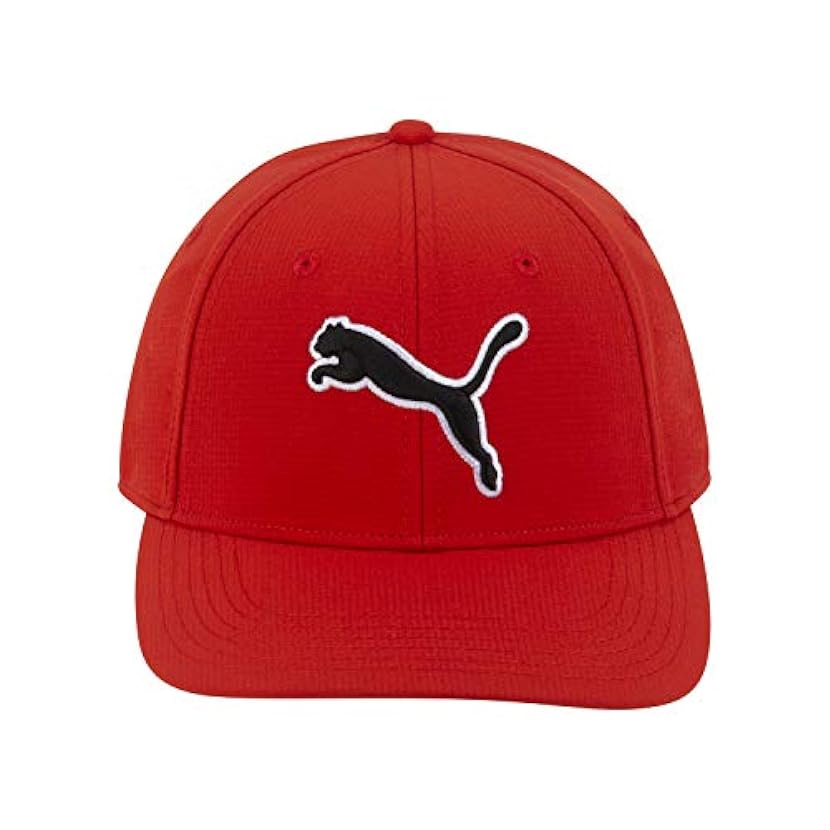 PUMA - Evercat Dillon 2.0 Stretch Fit cap, Cappellino da Baseball Uomo 432780913